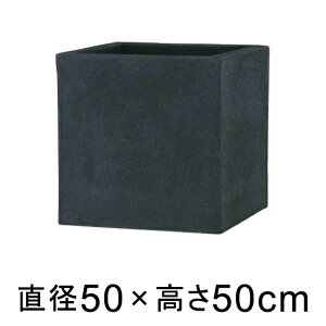 Aؔ  ^ BL `Fgn 50cm L[u y[J[EsEsEԕiszyO[|bgЁz
