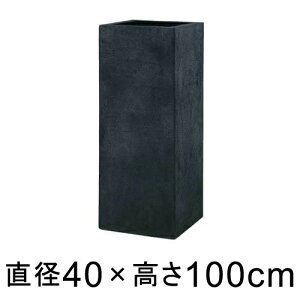 Aؔ  ^ BL wb` 40cm y[J[EsEsEԕiszyO[|bgЁzlւ̔zs