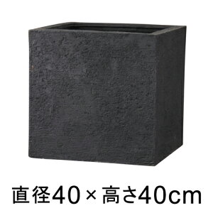 Aؔ  ^ Kf L[u 40cm ubN y[J[EsEsEԕiszyO[|bgЁz