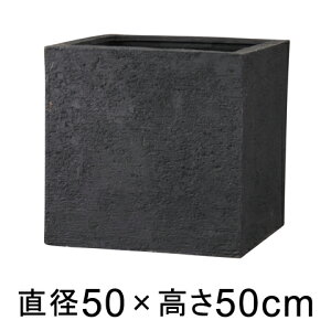 Aؔ  ^ Kf L[u 50cm ubN y[J[EsEsEԕiszyO[|bgЁz