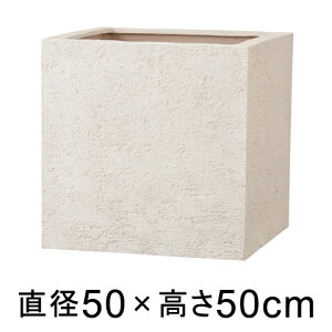 Aؔ  ^ Kf L[u 50cm AC{[ y[J[EsEsEԕiszyO[|bgЁz
