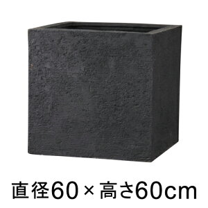 Aؔ  ^ Kf L[u 60cm ubN y[J[EsEsEԕiszyO[|bgЁz