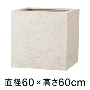 Aؔ  ^ Kf L[u 60cm AC{[ y[J[EsEsEԕiszyO[|bgЁz
