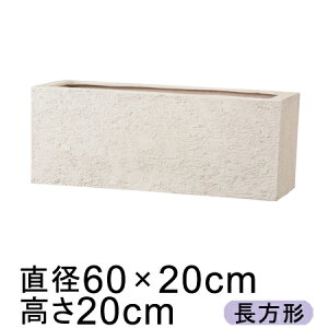 Aؔ  ^ Kf v^[ 60cm AC{[ y[J[EsEsEԕiszyO[|bgЁz