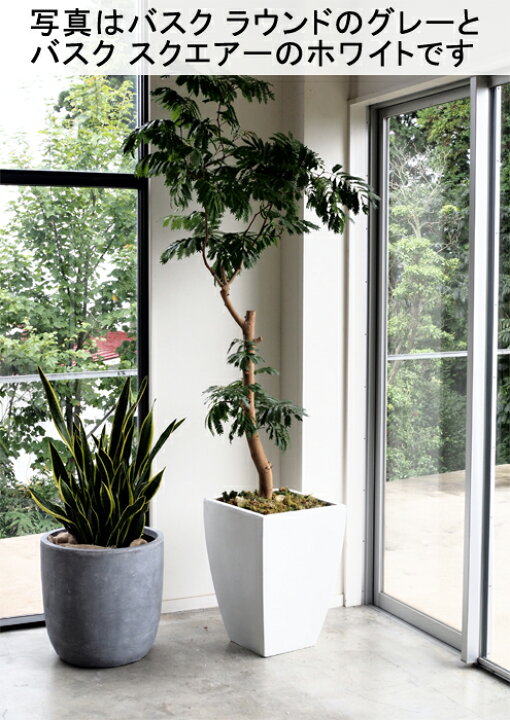 楽天市場】耐久性と軽量性を両立 ファイバークレイの定番 バスク  