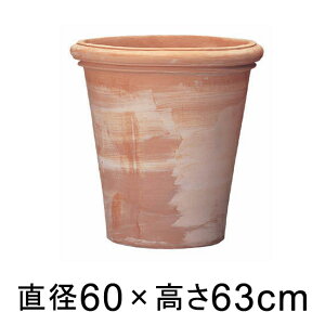 Aؔ  ^ xmb` Ag|bg 60cm y[J[EsEsEԕiszyO[|bgЁz lւ̔zs