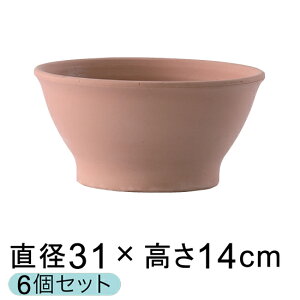 Aؔ  ^ X[X{[ zCg eRb^ 32cm y[J[EsEsEԕiszyO[|bgЁzy6Zbgzyosz