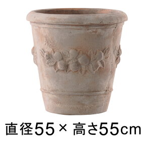 Aؔ  ^ eK AeBR 55cm y[J[EsEsEԕiszyO[|bgЁz lւ̔zs