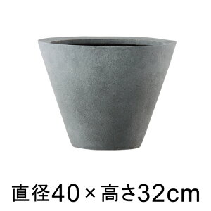 Aؔ  ^ LL VvR[[^ 40cm y[J[EsEsEԕiszyO[|bgЁz