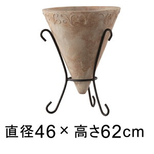 Aؔ  ^ R[ AeBRiACAtj 46cm y[J[EsEsEԕiszyO[|bgЁz