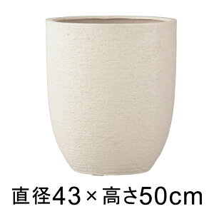 Aؔ  ^ rAX AgGbO 43cm AC{[ y[J[EsEsEԕiszyO[|bgЁz
