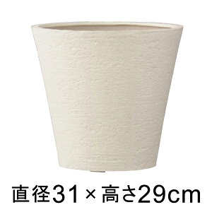 Aؔ  rAX \bh 31cm AC{[ y[J[EsEsEԕiszyO[|bgЁz