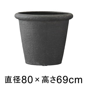 Aؔ  ^ rAX X 80cm ubN y[J[EsEsEԕiszyO[|bgЁz