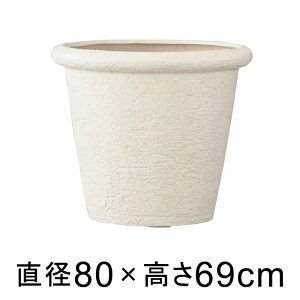 �A�ؔ� ������� ��^ �r�A�X �����X 80cm �A�C�{���[ �y���[�J�[�����E�����s�E����s�E�ԕi�s�z�y�O���[���|�b�g�Ёz