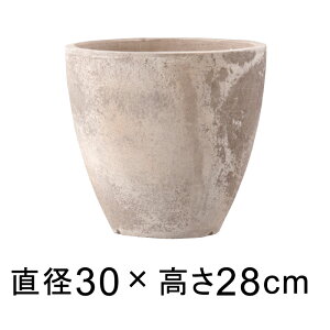 Aؔ  [K AeBR GbO 30cm y[J[EsEsEԕiszyO[|bgЁz