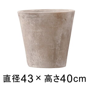 Aؔ  ^ [K AeBR \bh 43cm y[J[EsEsEԕiszyO[|bgЁz