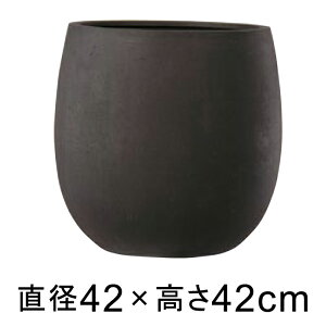 ʔ̓KM Aؔ ^  ejAX o[ 42cm AeB[N uE yO[|bgЁz