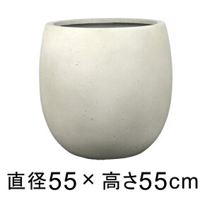 Aؔ  ^ ejAX o[ 55cm AeB[N zCg y[J[EsEsEԕiszyO[|bgЁz