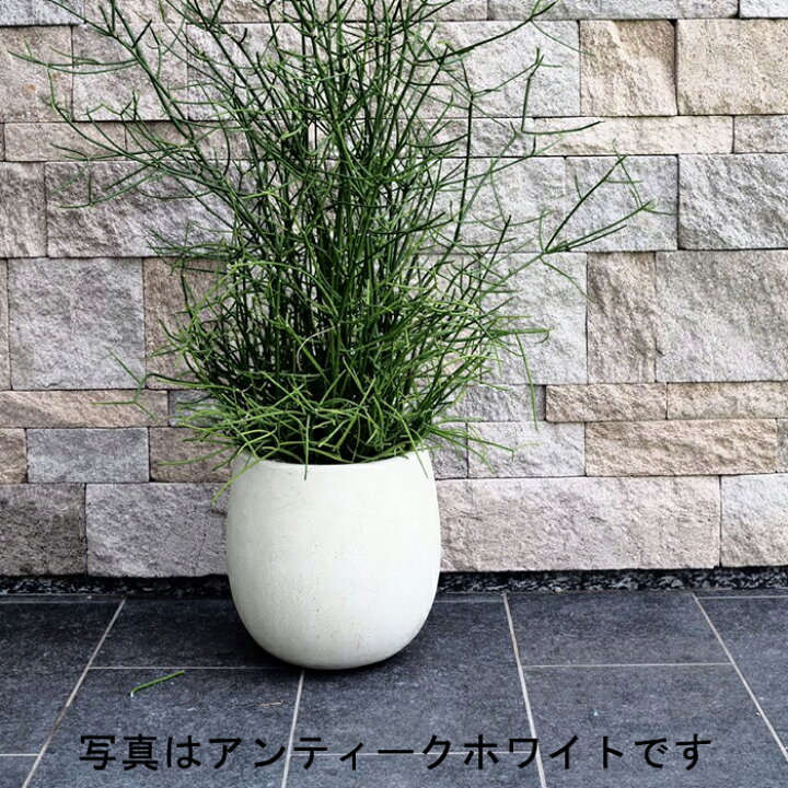 楽天市場】【楽天ランキング受賞】 別売の適合受皿あり 植木鉢 