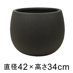 ʔ̓KM  Aؔ ^ ejAX [o[ 42cm AeB[N uE yO[|bgЁz