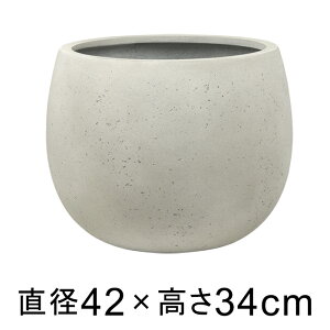 ʔ̓KM Aؔ  ^ ejAX [o[ 42cm AeB[N zCg yO[|bgЁz