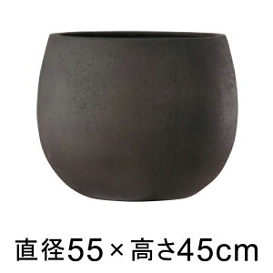 Aؔ  ^ ejAX@[o[ 55cm AeB[NuE y[J[EsEsEԕiszyO[|bgЁz