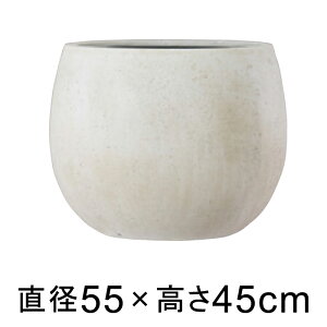 Aؔ  ^ ejAX [o[ 55cm AeB[N zCg y[J[EsEsEԕiszyO[|bgЁz