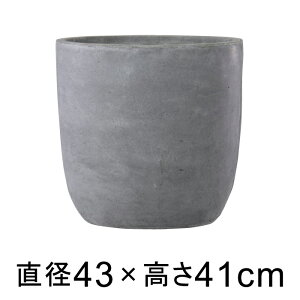 yyVLO܁z ϋvƌyʐ𗼗 t@Co[NC̒ oXN Eh 43cm O[ y[J[EsEsEԕiszyO[|bgЁz