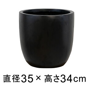 ϋvƌyʐ𗼗 t@Co[NC̐V GCX Eh 35cm Aؔ ubN y[J[EsEsEԕiszyO[|bgЁz