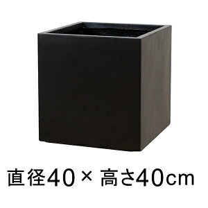 ϋvƌyʐ𗼗 t@Co[NC̐V GCX L[u 40cm Aؔ ubN y[J[EsEsEԕiszyO[|bgЁz