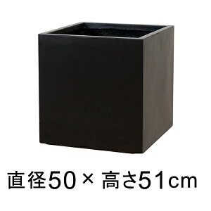 ϋvƌyʐ𗼗 t@Co[NC̐V GCX L[u 50cm Aؔ ubNy[J[EsEsEԕiszyO[|bgЁz