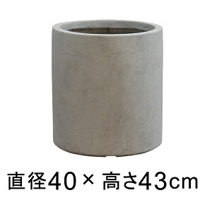 ϋvƌyʐ𗼗 t@Co[NC̐V GCX V_[ 40cm EHbVO[ Aؔ y[J[EsEsEԕiszyO[|bgЁz