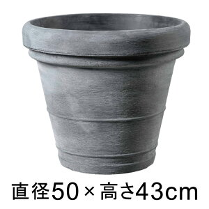Aؔ  ^ {h[ O[  50cm y[J[EsEsEԕiszyO[|bgЁz