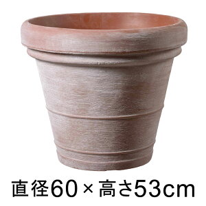 Aؔ  ^ {h[ eRb^F  60cm y[J[EsEsEԕiszyO[|bgЁz