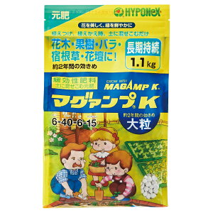 }O@vK 嗱 1.1kg  Ɍ엿 엿