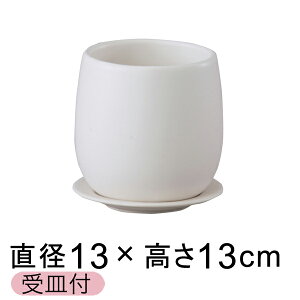 픫 IXg GbO {E 13cm  △ Jo[ Mt Aؔ  킢 