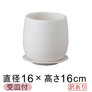 y󂠂z 픫 IXg GbO {E 16cm  △ Mt AؔJo[ Aؔ  킢  [of20]