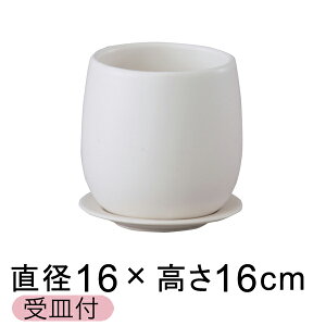 픫 IXg GbO {E 16cm  △ Jo[ Mt Aؔ  킢 