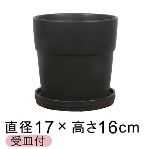y󂠂zAؔ 픫 Vv  17cm ubNn kMtl ֖   Jt  [of20]
