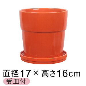 Aؔ 픫 Vv  17cm IWn kMtl ֖   Jt 