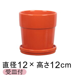 Aؔ 픫 Vv  12cm IWn kMtl ֖   Jt 