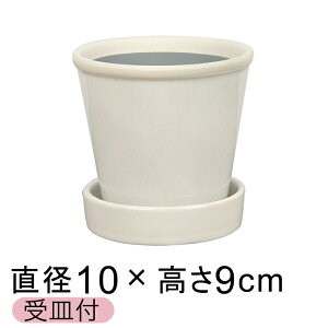  Aؔ   ObV[ POT 3 10cm A Xm[ L Mt ѓ  