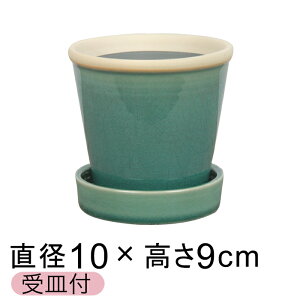  Aؔ   ObV[ POT 3 10cm H^[RCY L Mt ѓ  