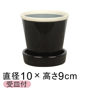  Aؔ   ObV[ POT 3 10cm D`R[ L Mt ѓ  