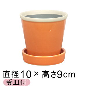  Aؔ   ObV[ POT 3 10cm GAvRbg L Mt ѓ  