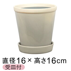 ������� �A�ؔ� ���� �� �O���b�V�[ POT 5�� 16cm F ���[���~�X�g ��L �M�t �ѓ� ���� ����