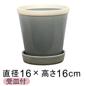  Aؔ   ObV[ POT 5 16cm CtHbO L Mt ѓ  