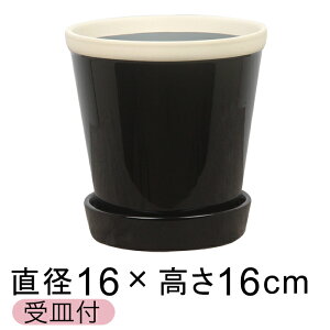  Aؔ   ObV[ POT 5 16cm D`R[ L Mt ѓ  