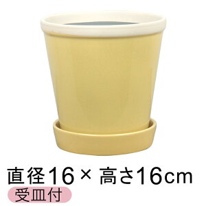  Aؔ   ObV[ POT 5 16cm F~U L Mt ѓ  
