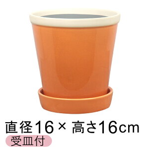  Aؔ   ObV[ POT 5 16cm GAvRbg L Mt ѓ  